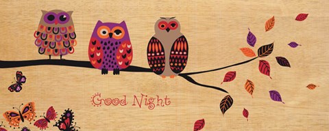 Framed Good Night Owl Print