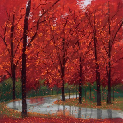 Framed Autumn Stream Print