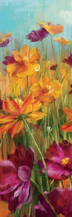 Framed Cosmos in the Field II Print