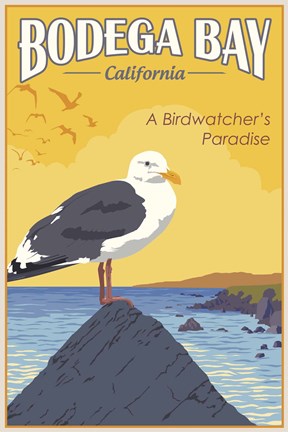 Framed Bodega Bay Print