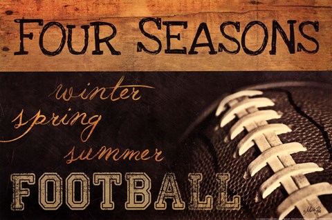 Framed Four Seasons Football II Print
