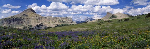Framed USA, Wyoming, Grand Teton Park Print