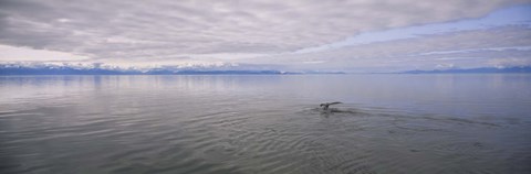 Clouds over the sea, Frederick Sound, Alaska, USA by Panoramic Images