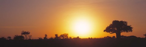 Framed Sunset, Tarangire, Tanzania, Africa Print