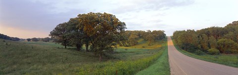 Framed Dirt road passing through a field, Wisconsin, USA Print