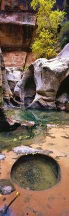 Framed Subway at Zion National Park, Utah, USA Print