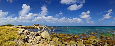 Framed Rocks at the coast, Aruba Print