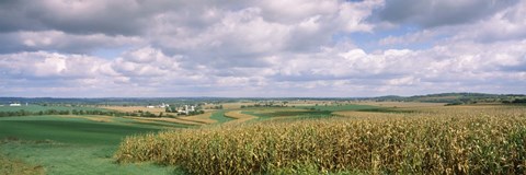Framed Corn and Alfalfa Fields, Wisconsin Print