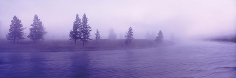 Framed USA, Wyoming, View of trees lining a misty river Print