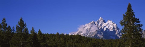 Framed Trees in a forest with snow covered mountains in the background, Grand Teton National Park, Wyoming, USA Print
