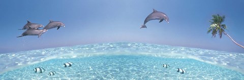 Framed Dolphins Leaping In Air Print