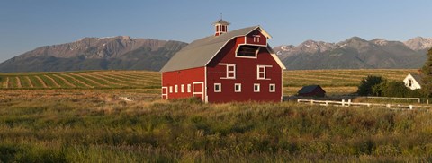 Framed Barn in a field with a Wallowa Mountains in the background, Enterprise, Wallowa County, Oregon, USA Print