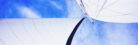 Framed Low angle view of sails on a Sailboat, Gulf of California, La Paz, Baja California Sur, Mexico Print