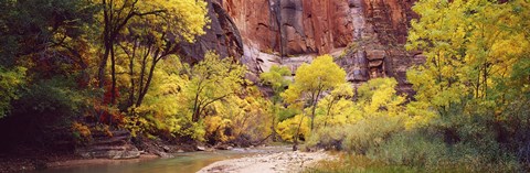 Framed Creek at sunset, Death Valley, California, USA Print