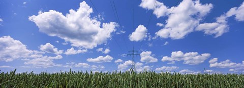 Framed Wheat field and transmission tower, Baden-Wurttemberg, Germany Print