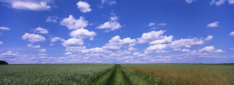 Framed Road through agriculture fields, Baden-Wurttemberg, Germany Print