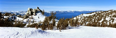 Framed Trees on a snow covered landscape, Heavenly Mountain Resort, Lake Tahoe, California-Nevada Border, USA Print