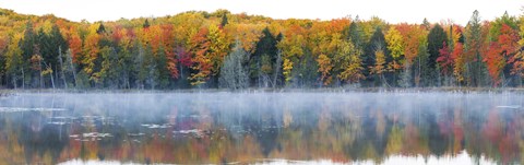 Framed Trees in autumn at Lake Hiawatha, Alger County, Upper Peninsula, Michigan, USA Print