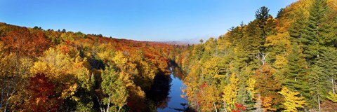 Framed Trees in Autumn at Dead River, Michigan Print