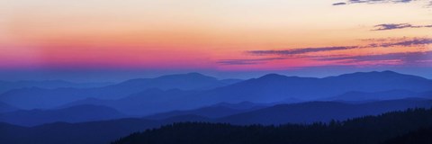 Framed Blue &amp; Pink Sunset at Clingmans Dome,Tennessee Print