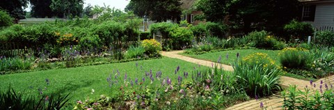 Framed USA, Virginia, Williamsburg, colonial garden Print