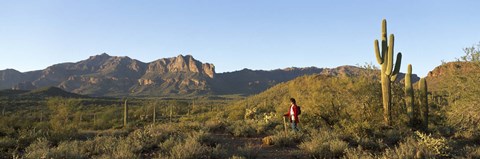 Framed Hiker standing on a hill, Phoenix, Arizona, USA Print