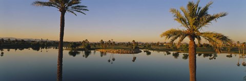 Framed Palm trees at the lakeside, Phoenix, Maricopa County, Arizona, USA Print