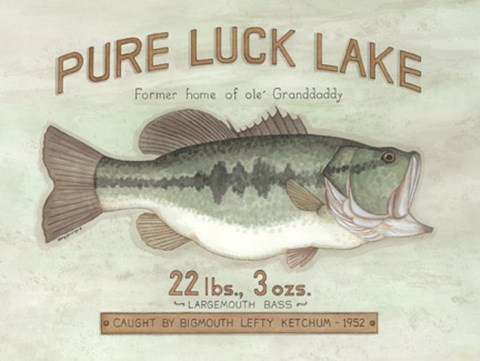 Framed Pure Luck Lake Print