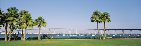 Framed Palm trees on the coast with bridge in the background, Coronado Bay Bridge, San Diego, San Diego County, California, USA Print