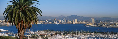 Framed San Diego from a Distance Print