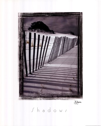 Framed Shadows Print