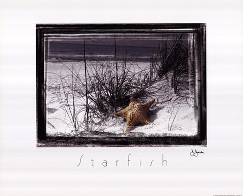 Framed Starfish Print
