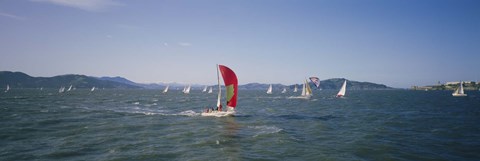 Framed Sailboats in the water, San Francisco Bay, California, USA Print