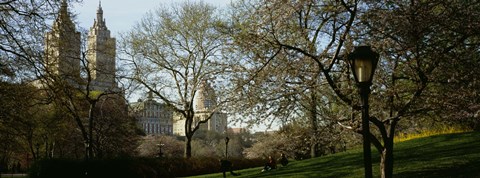 Framed Park In Front Of A Building, Central Park, NYC, New York City, New York State, USA Print