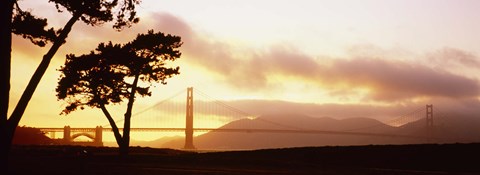 Framed Silhouette of trees at sunset, Golden Gate Bridge, San Francisco, California, USA Print