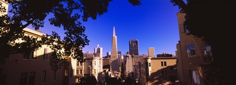 Framed Buildings in a city, Telegraph Hill, Transamerica Pyramid, San Francisco, California, USA Print