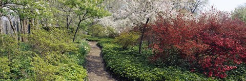 Framed Trees in a garden, Garden of Eden, Ladew Topiary Gardens, Monkton, Baltimore County, Maryland, USA Print