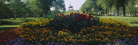 Framed Flowers in a park, Grant Park, Chicago, Cook County, Illinois, USA Print