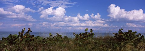 Framed Tampa Bay, Gulf Of Mexico, Anna Maria Island, Florida Print