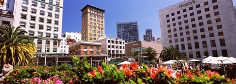 Framed Buildings in a city, Union Square, San Francisco, California, USA Print