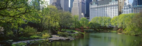 Framed Pond in a park, Central Park South, Central Park, Manhattan, New York City, New York State, USA Print