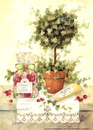 Framed Citrus Bath Gel Print