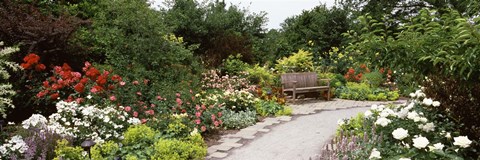 Framed Bench in a garden, Olbrich Botanical Gardens, Madison, Wisconsin, USA Print