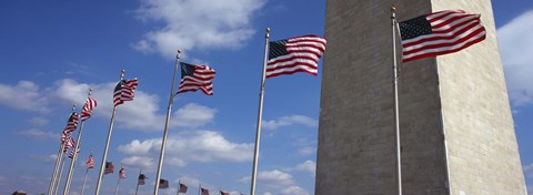 Framed American flags in front of an obelisk, Washington Monument, Washington DC, USA Print