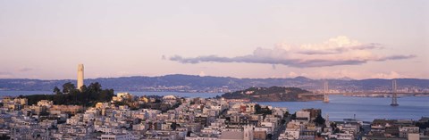 Framed High angle view of a city, Coit Tower, Telegraph Hill, San Francisco, California Print