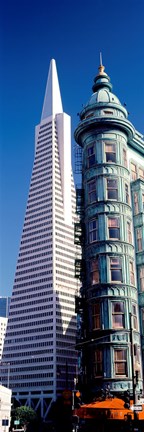 Framed Low angle view of towers, Columbus Tower, Transamerica Pyramid, San Francisco, California, USA Print