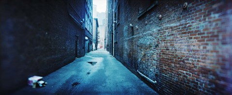 Framed Buildings along an alley, Pioneer Square, Seattle, Washington State, USA Print