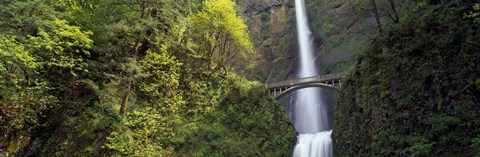 Framed Waterfall in a forest, Multnomah Falls, Columbia River Gorge, Portland, Multnomah County, Oregon, USA Print