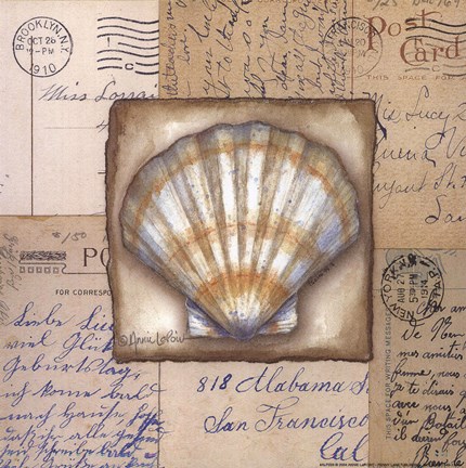 Framed Scallop Shell Print