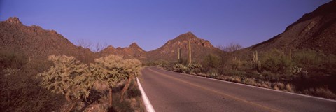 Framed Road Through Saguaro National Park, Arizona Print